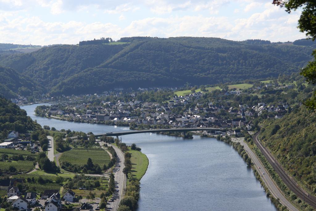 Ferienwohnungen Im Moseltal Löf 外观 照片