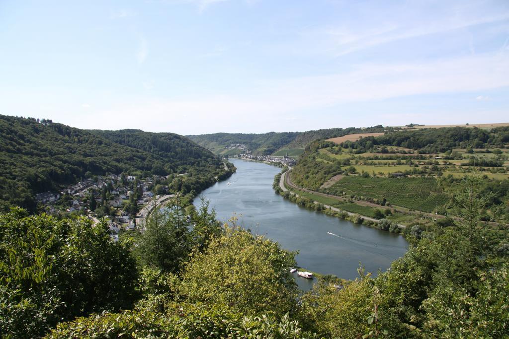 Ferienwohnungen Im Moseltal Löf 外观 照片