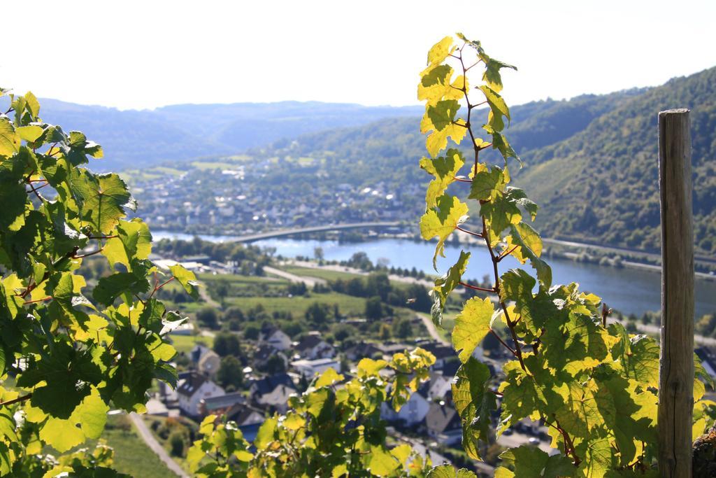 Ferienwohnungen Im Moseltal Löf 外观 照片